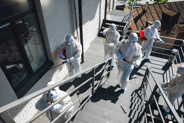 Best Mold Documentation for Insurance Claims  in Eloy, AZ