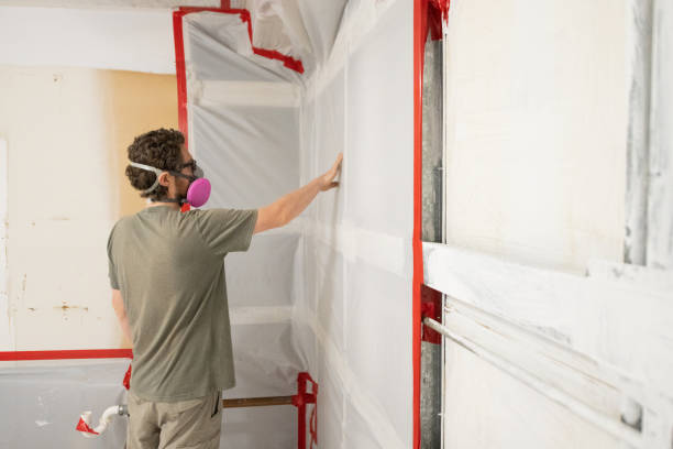 Best Attic Mold Removal  in Eloy, AZ