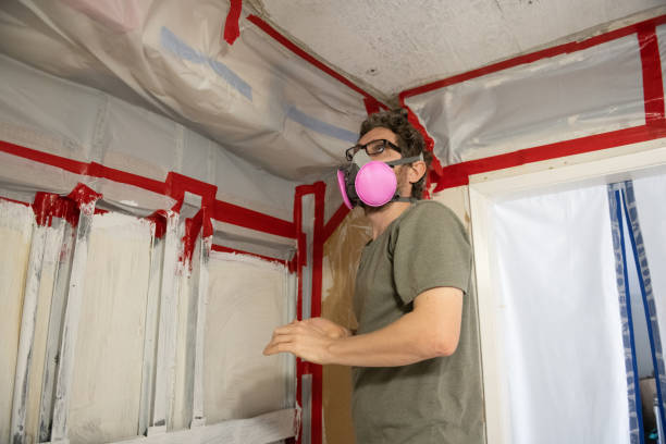 Best Mold Damage Restoration  in Eloy, AZ