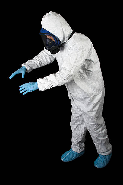 Reliable Eloy, AZ Mold Removal Solutions